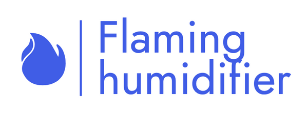 Flaming humidifier store